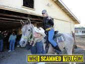 Scam - Horse Thief